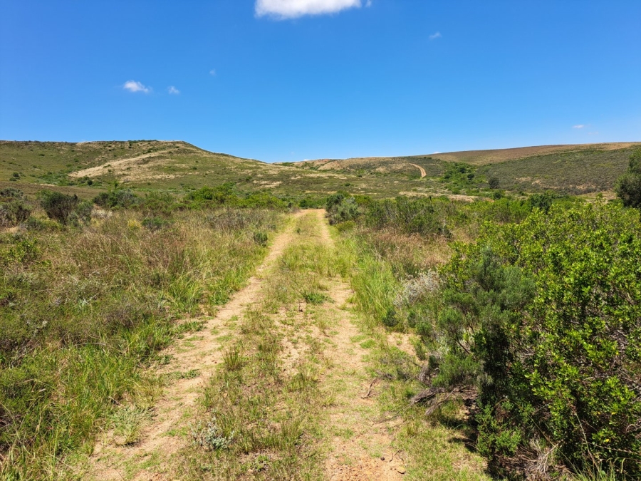 17 Bedroom Property for Sale in Riversdale Rural Western Cape